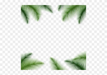 Palm Leaves Floral Background Transparent Png - Transparent Background Palm Tree Leaves Png