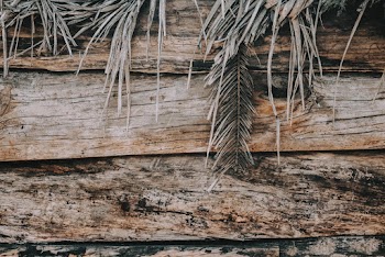 Palm Leaves on Brown Wooden Surface