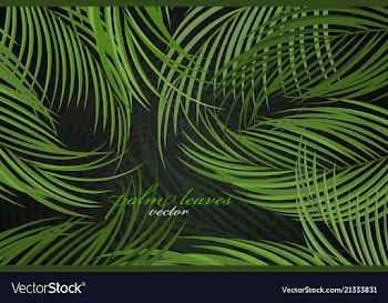 Palm leaves scene vector image