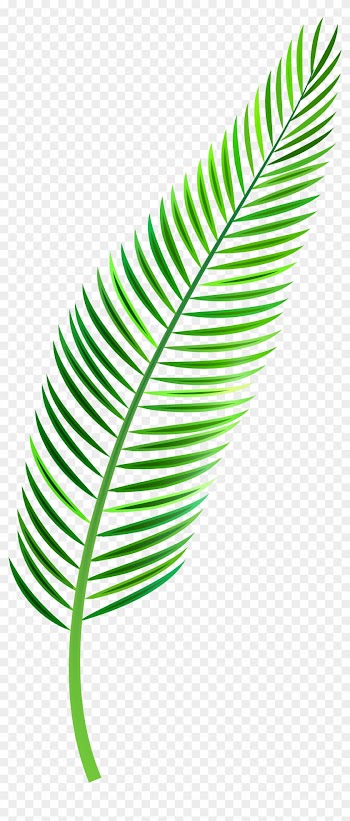 Palm Sunday Clipart - Palm Leaf Watercolor Png