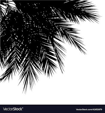 palm tops silhouettes