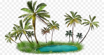 Palm tree