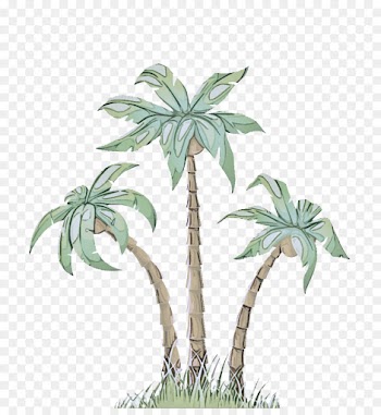 Palm tree