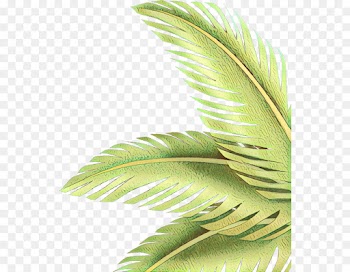 Palm tree