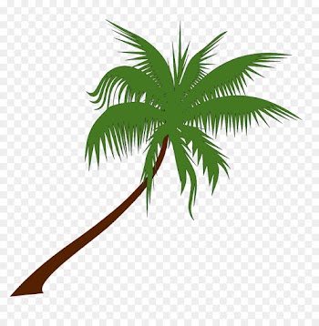 Palm tree