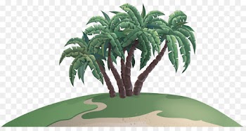 Palm tree