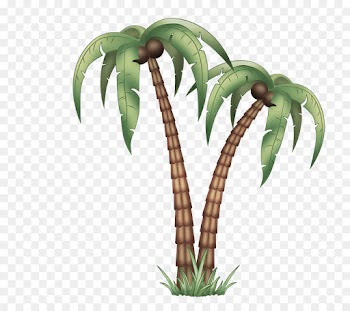 Palm tree