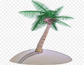 Palm tree