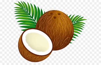 Palm tree