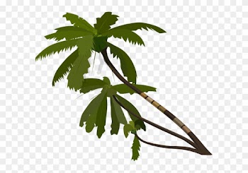 Palm Tree Animation