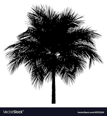 palm tree black silhouette