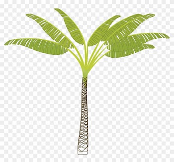 Palm-tree - Business Card Palm Tree