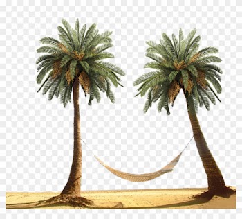 Palm Tree By Designway24 - Palm Tree Beach Png