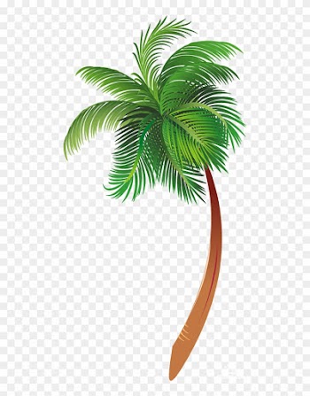 Palm Tree Cartoon Png