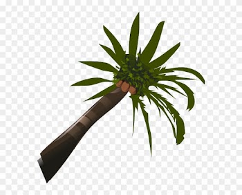 Palm Tree Clip Art