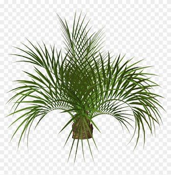 Palm Tree Clip Art - Flower Tree Png Hd