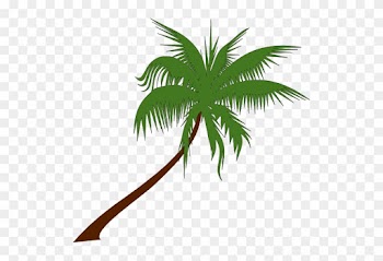 Palm Tree Clip Art Free Bbw Watermark Free - Coconut Trees Clip Art