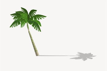 Palm tree clipart, botanical illustration. | Free Photo - rawpixel