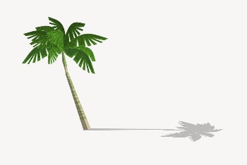 Palm tree clipart, botanical illustration | Free Vector - rawpixel