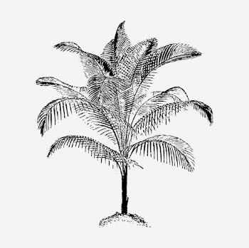 Palm tree clipart, botanical vintage | Free Vector - rawpixel