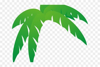 Palm Tree Clipart Leaves - Palm Frond Palm Tree Leaf