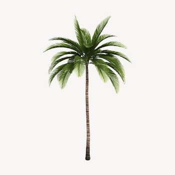Palm tree clipart, tropical illustration | Free Vector - rawpixel