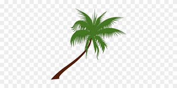 Palm Tree Coconut Palm Tree Tropical Palm - Coconut Tree Clipart Free