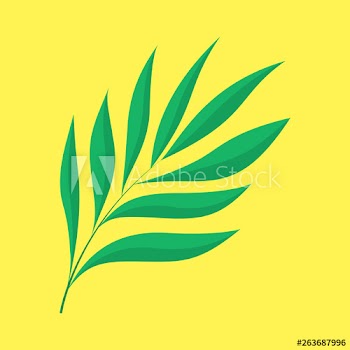 Palm tree green leaf