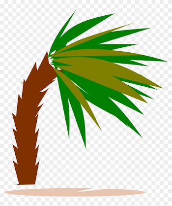Palm Tree In Heavy Wind Clipart - Clipart Of Wind Palm Trees