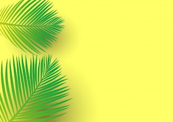 Palm tree leaves on a bright yellow background Free Vector