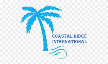 Palm Tree Logo