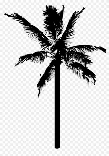 Palm Tree Logo 26, - Coconut Tree Transparent Background