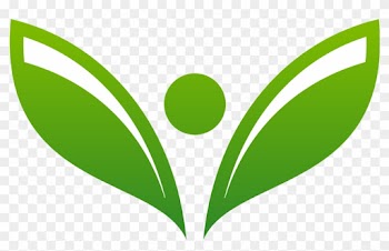 Palm Tree Logo Images - Tree Logo