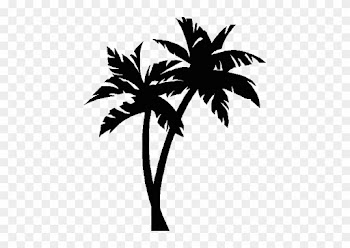 Palm Tree No Background Free Clipart Images 2 U2013 - Logos With Palm Trees