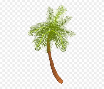 Palm, Tree, Ocean, Summer, Vacation, Beach, Palm Leaf - Coconut Tree Clip Art