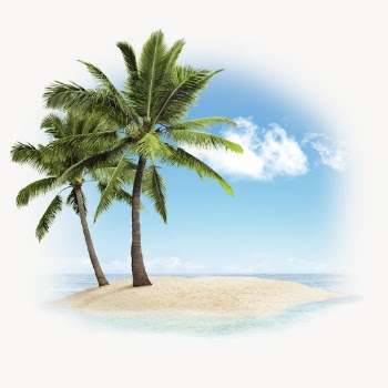 Palm tree on island isolated | Free Photo - rawpixel