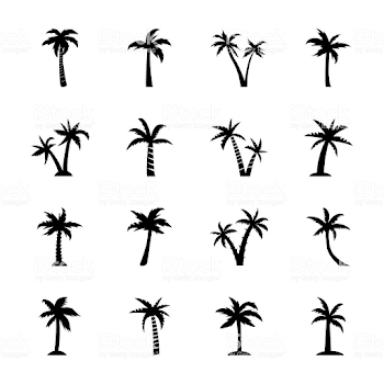 Palm Tree Outline Stock Illustration - Download Image Now - iStock