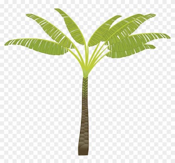 Palm Tree Png Images, Download Free Pictures - T Shaped Palm Tree