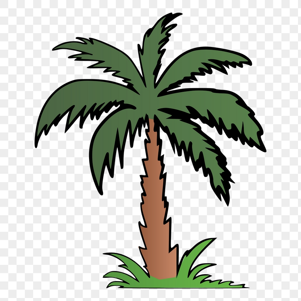 Palm tree png sticker, botanical | Free PNG - rawpixel