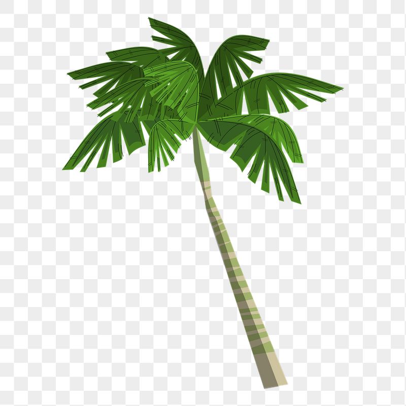 Palm tree png sticker, botanical | Free PNG - rawpixel