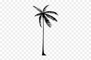Palm Tree Png Transparent Images Group - Coconut Tree Png Silhouette