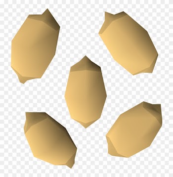 Palm Tree Seed - Palm Tree Seed Osrs