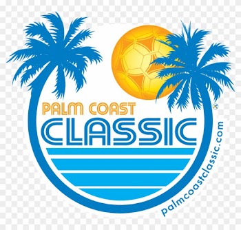 Palm Tree Silhouette