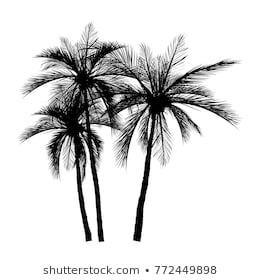 Palm Tree Silhouette Images, Stock Photos & Vectors | Shutterstock