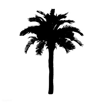Palm tree silhouette on white background | Free stock vector - 488609