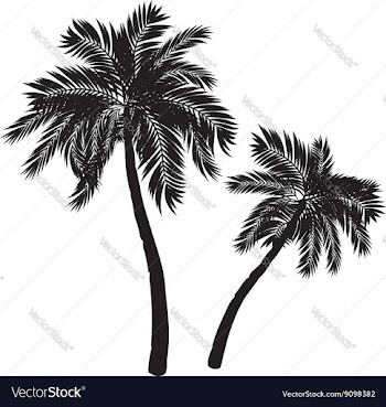 Palm Tree Silhouette vector image