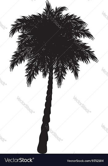 Palm Tree Silhouette3 vector image