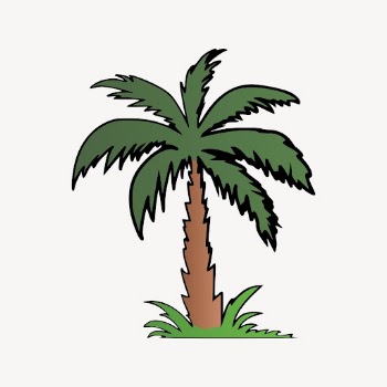 Palm tree sticker, botanical illustration | Free PSD - rawpixel