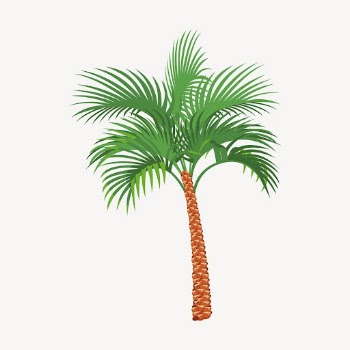 Palm tree sticker, tropical plant | Free Vector - rawpixel