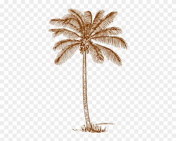 Palm Tree Svg Clip Arts 384 X 595 Px - Coconut Tree Clipart Black And White